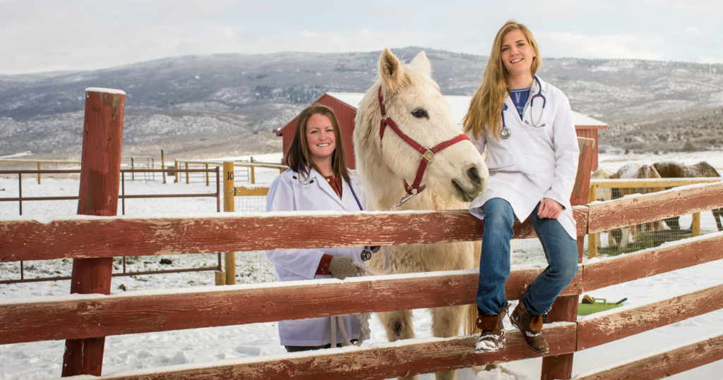 Two Veterinary Tech students with a horse at the animal farm on the CMC Spring Valley Campus.