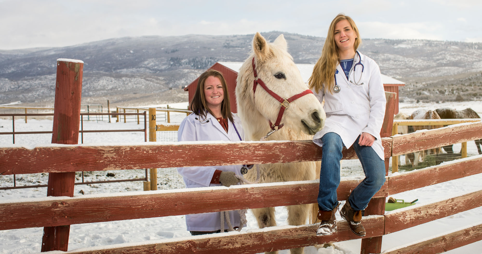 Veterinary Technology Degree - Colorado Mountain College