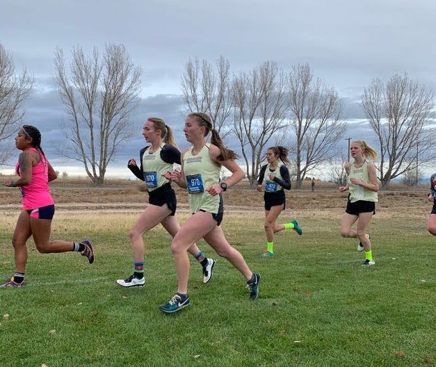 Cross country runners look ahead as they run their race