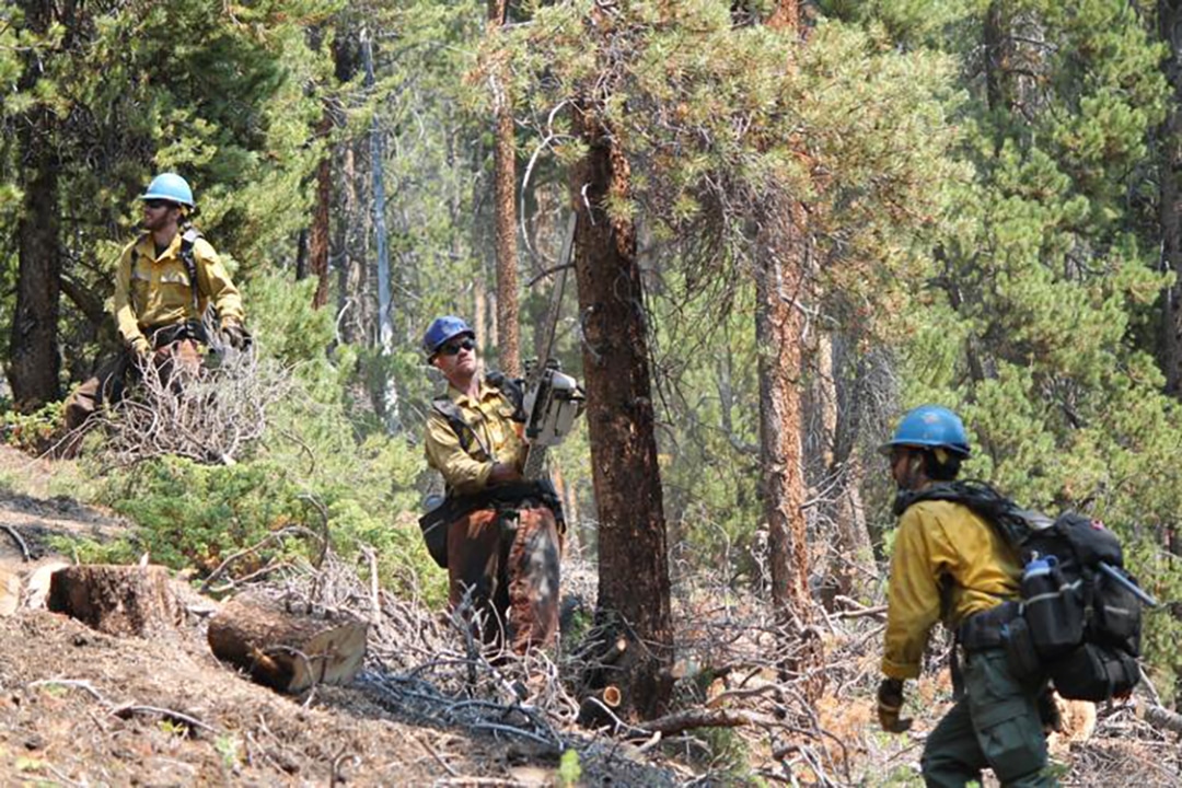 Crews fighting the Willow Fire near Leadville.